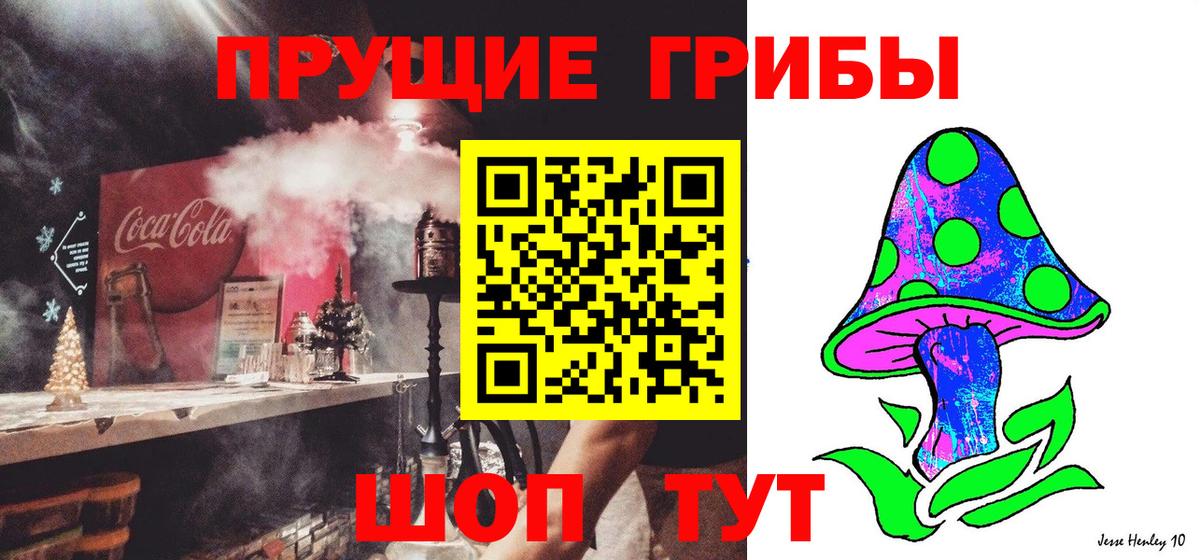 Лабинск  Галлюциногенные грибы прущие грибы  Вход с VPN 
